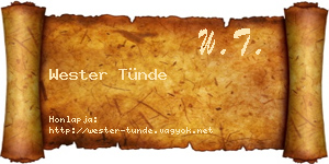 Wester Tünde névjegykártya